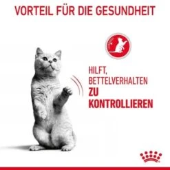 ROYAL CANIN Appetite Control Care 10 Kg -Haustier Lieferungen Verkauf e276cfa2e31b217203991f51fb004358a4bc8efd 1343821 2