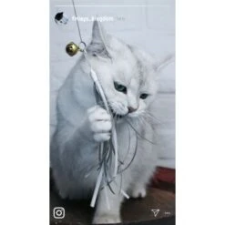 Kater Kasimir Premium Katzenangel Mit 4 Handgemachten Anhängern Aus Naturmaterial -Haustier Lieferungen Verkauf e6fe48d27b82d48675d665ee2a143e3c11de2fd9 1408150 de DE b29a5f7f2530ce6388e16e2600369d70b2ec0350kYn6B8