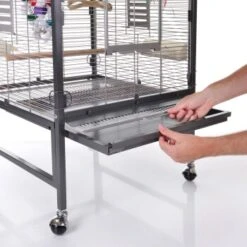 Montana Cages Voliere Paradiso 60 Hellgrau/ Dunkelgrau -Haustier Lieferungen Verkauf e88e491a9118d4237a939c333a64497a7eab0ec9 1205436 de DE 7cc82b47e0d4fb3c6995a6a5eace91599bd27fdddF0rHU