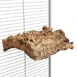 HappyBird Kork Sitzbrett XL -Haustier Lieferungen Verkauf e8b2950c642c9ef016f80c28713a09942915f413 1416847 de DE 4626cf9388aa22b7467d5746315ee5f44c7b4ddbETGHf6