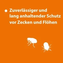 Ardap Spot-On Für Kleintiere Von 1-4 Kg -Haustier Lieferungen Verkauf ead6e6466cacdf1b7a45d65f4bd83e68072507b3 1201690 de DE 123c08947d68d259b6ba6ec3ce1852e52370e4d7Le4GW7