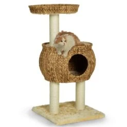 Silvio Design Kratzturm Cestino 9 Silvio Design Kratzturm Cestino -Haustier Lieferungen Verkauf ef0a90672f1eb00d70c3cd19197169962e160ff2 a23d448577d51dcf93e2a088a7495518cff75b25