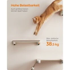 FEANDREA 3st. Clickat Katzenbrett Für Die Wand -Haustier Lieferungen Verkauf eff0845c1d39f1df06ac9b2fea5543f13b924fe7 1681458 de DE 49f3284dc1e7752ec473d61a07cc5870214b52015wNOhn