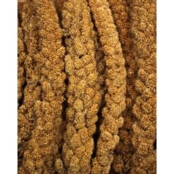 JR Farm Gelbe Kolbenhirse 1,5 Kg 7 JR Farm Gelbe Kolbenhirse 1,5 Kg -Haustier Lieferungen Verkauf f38b3973c37de3c4049cfe33760d45f9b1030524 bf617f613049b6bf32c99e0b1ff1845b71b1521d