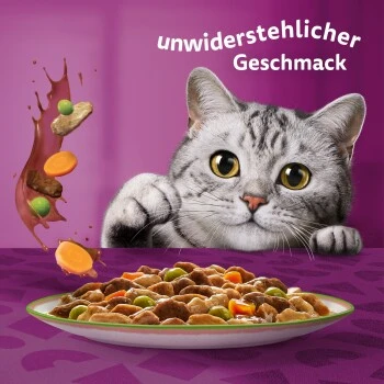 Whiskas Tasty Mix Multipack Chef's Choice In Sauce 40 X 85g 9 Whiskas Tasty Mix Multipack Chef's Choice In Sauce 40 X 85g – Bild 7