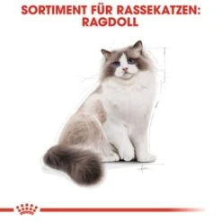 ROYAL CANIN Ragdoll Adult 10 Kg -Haustier Lieferungen Verkauf f8b811f9eab7202e49f7b235d6a595fa348bbbaf bb5e5e0f36d3d37fdca6dd70ac412f733832df15