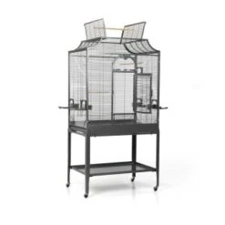 Montana Cages Voliere Madeira II Dunkelgrau -Haustier Lieferungen Verkauf f9ba3b75dcc199650ff2b811f5845784a98ed4fc 1011602 de DE 17e57bead13fc4a3c95e8001e2e65e9ec98959abedP2PP