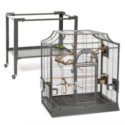 Montana Cages Vogelkäfig Madeira I 17 Montana Cages Vogelkäfig Madeira I -Haustier Lieferungen Verkauf f9efc63124c2703141441dc27acadd43a3039f4e 1011601 de DE 1c152c89fe222dca1cffd4d1c1369efadf1a6757LGtl8I