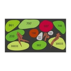 DENNERLE Wasserpflanzen-Set "80L Basic" 23 DENNERLE Wasserpflanzen-Set "80L Basic" -Haustier Lieferungen Verkauf fa0d3466a3e98d4ebfec2a512bf9cf3fae0a3025 ca34033a0b1838d6016903e07ecf466aea881b48