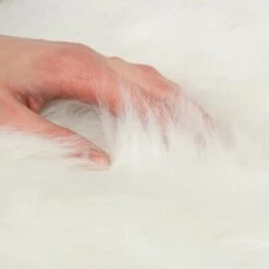 Canadian Cat Company Filzlounge AVA Beige M -Haustier Lieferungen Verkauf fd8b746ad0dc996bb62efc39f6c670f6be8df30e 1360999 de DE c86a4e6d9ceba2c1e55f3f753eeda095c89215723XoDPL