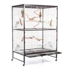 Montana Cages Voliere Paradiso 120 Hellgrau/ Dunkelgrau -Haustier Lieferungen Verkauf fe8cf9c196e506065b945cc0d8292d4e8b464ff6 1200893 de DE ed880256b168b65feb604168f1bcbb7a1c93b6eehIICp0