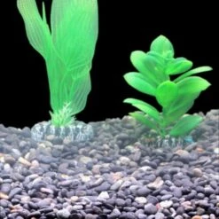 Silbermann Dark Gravel 5 Kg 8 Silbermann Dark Gravel 5 Kg -Haustier Lieferungen Verkauf ff1094e95dae4f2b4a17de06744297fd7ecdbcef 1490266 de DE 8b44a4fbef1605f539c0ebb3a538a091cec3dbadmMXnlK