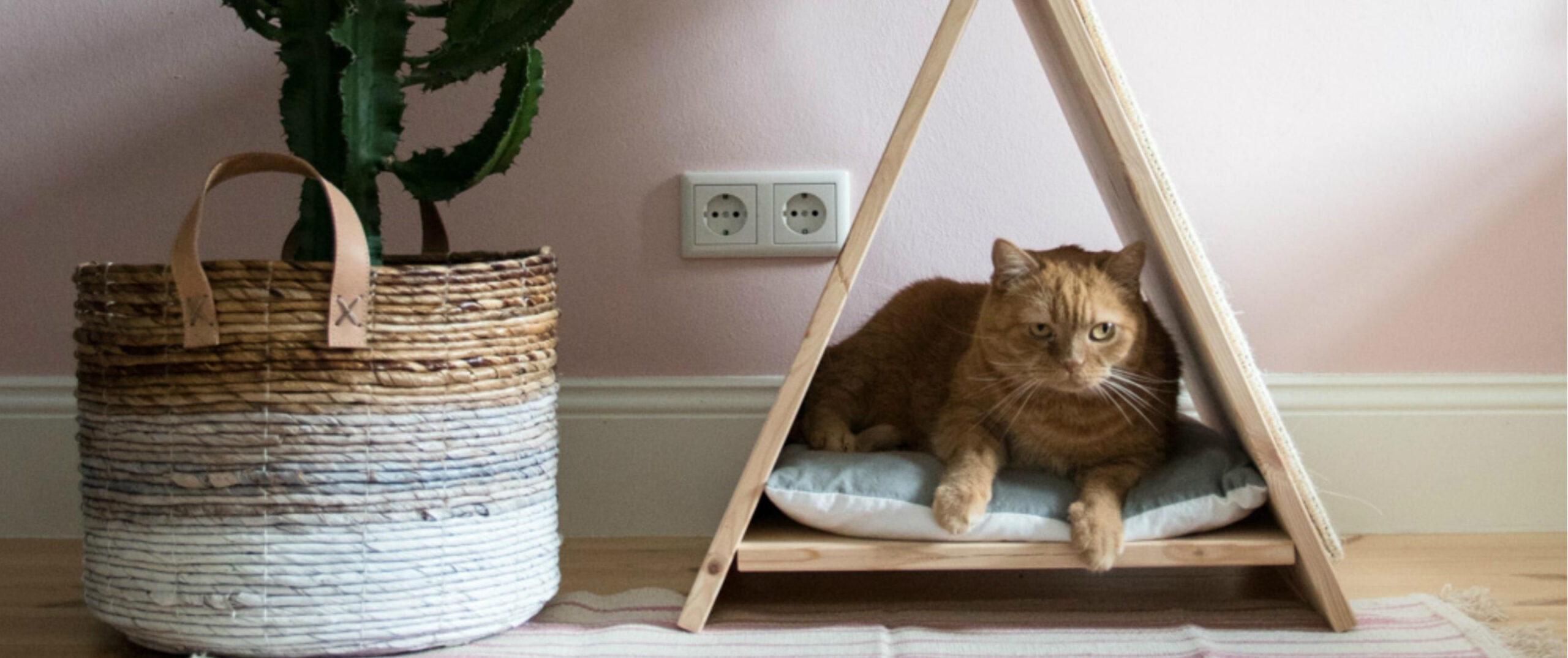 Haustier Lieferungen Verkauf -Haustier Lieferungen Verkauf 2 scaled
